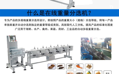 食品在線檢重機與烤膠機的工作原理及協同應用